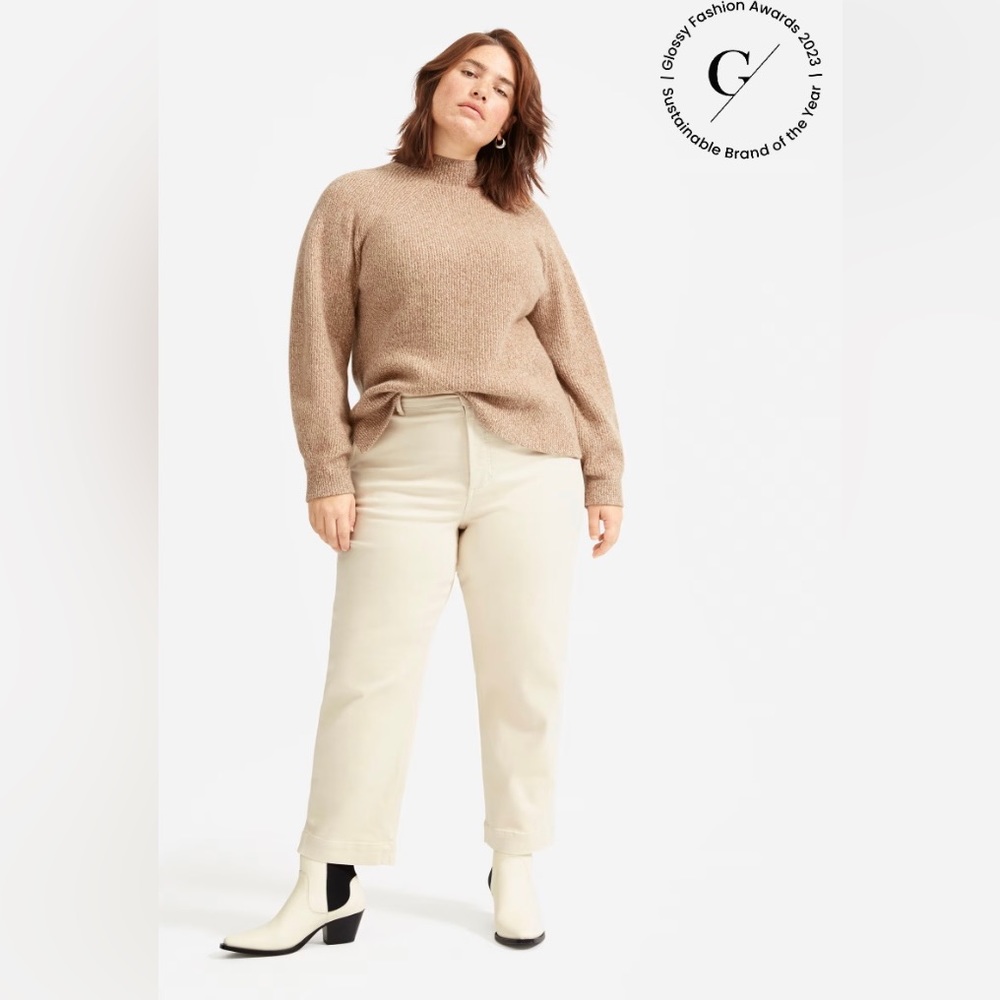 Everlane The Straight-Leg Crop, Sandstone, Size 6 Regular